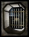 caged