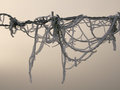barbed symphonie