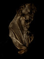 comtemplatio