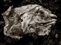 menagerie
