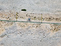 mont ventoux