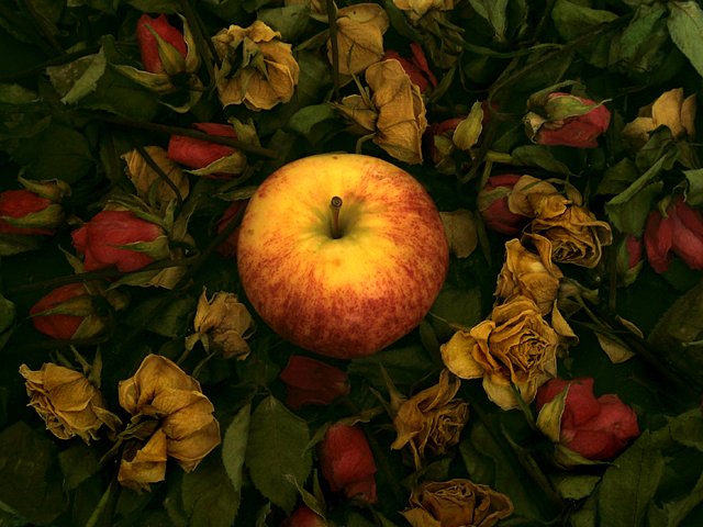 apple