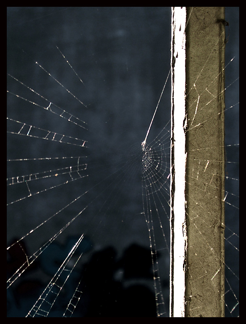 spyder