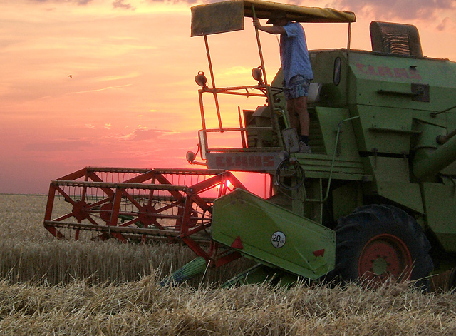 Harvest