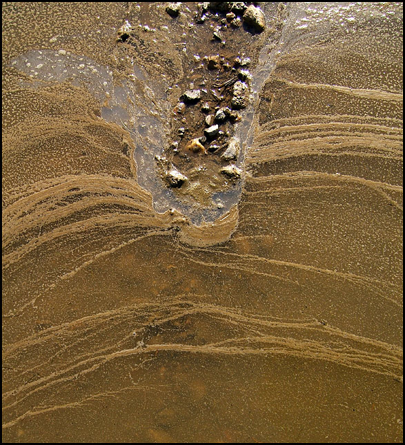 muddy waters