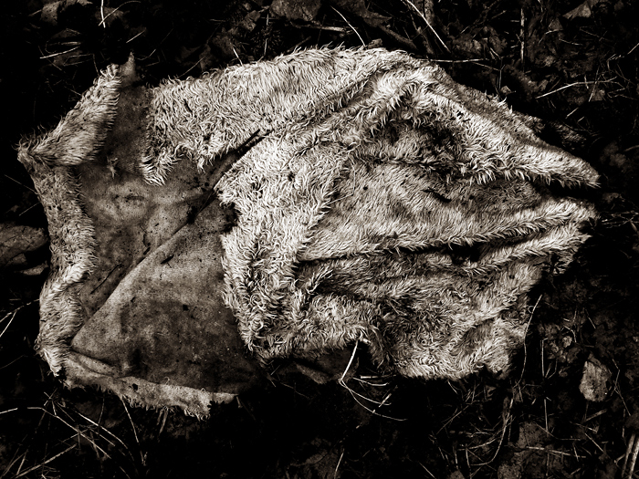 menagerie