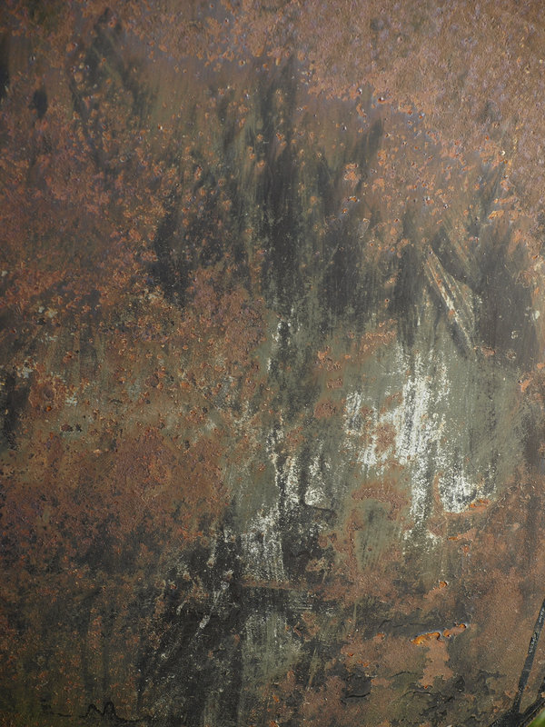 P2070487.texroz.jpg