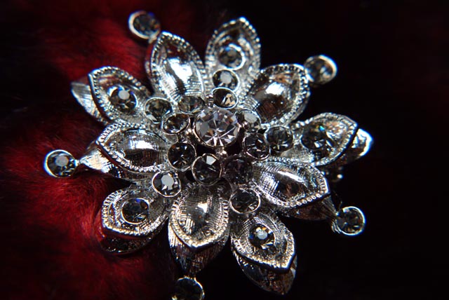 SilverBroach.jpg