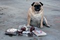 Nikita and the Meat
