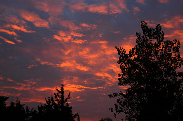 Sunrise