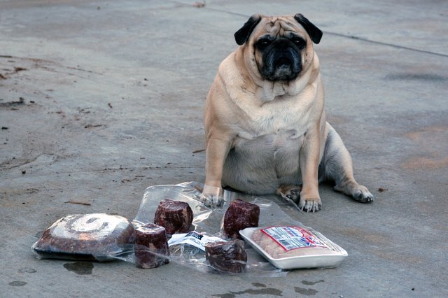 Nikita and the Meat