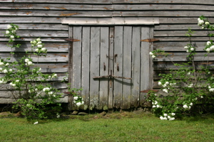 Barn Doors