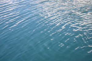 MCDonald Lake
