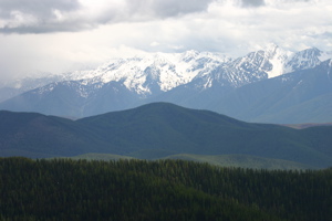 View from Mt. Brown