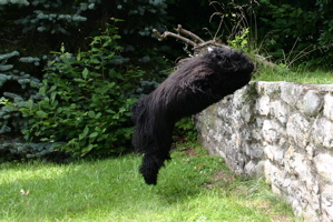 Stonewall Jump