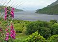 Killary Fjord