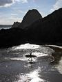 Surfer