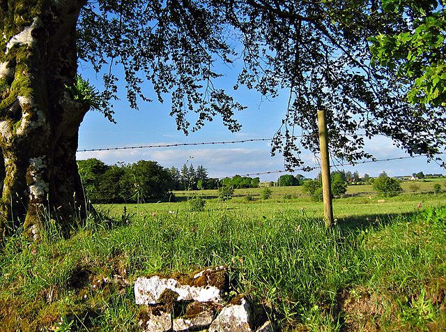 Rural Ireland