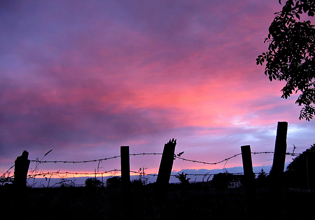 Irish evening