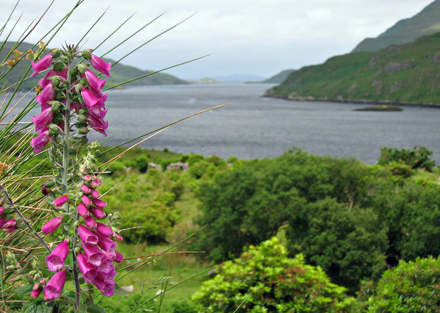 Killary Fjord