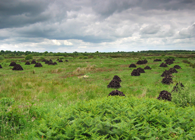 Drying the Peat