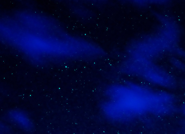 So many stars!