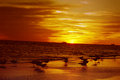 Sunset_07.jpg
