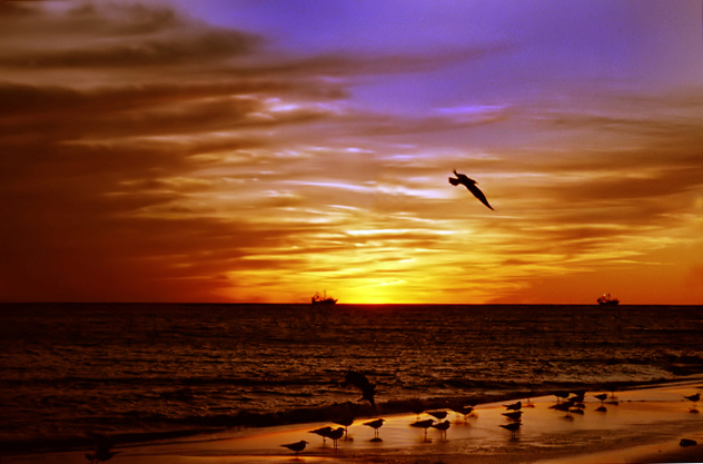 Sunset_05.jpg
