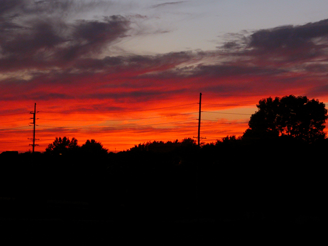 DSCN3884_1.jpg