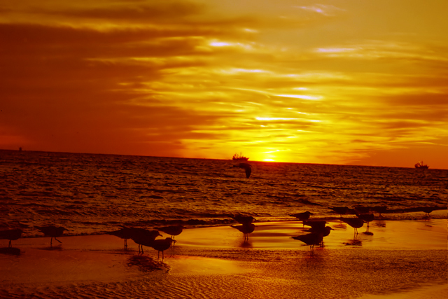 Sunset_07.jpg