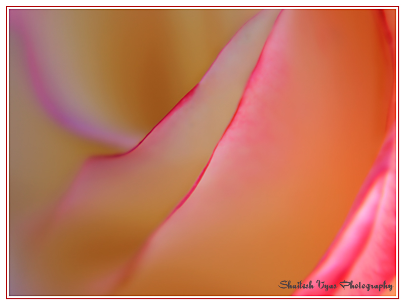 Fragile
