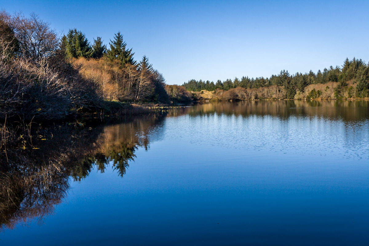 Dead Lake 1-1-2015