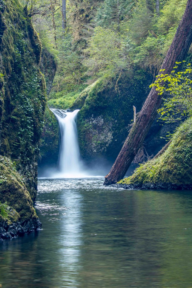 Punchbowl Falls, Columbia River Gorge OR