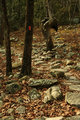 trail