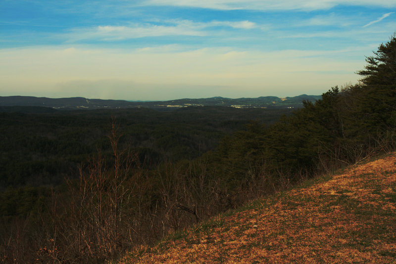 view