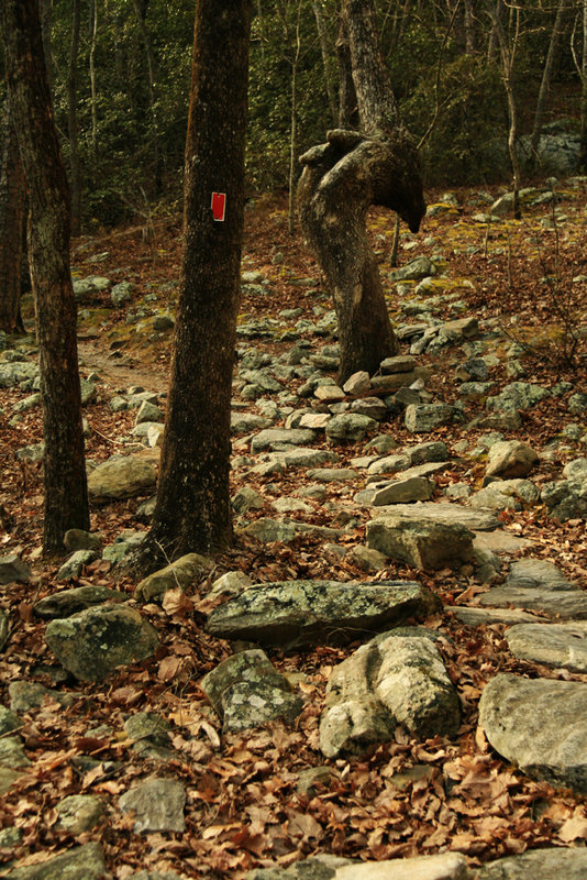 trail