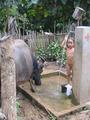 Kid taking a Shower