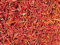 Pepper