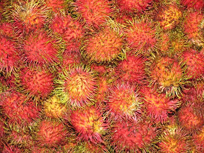 Fruits