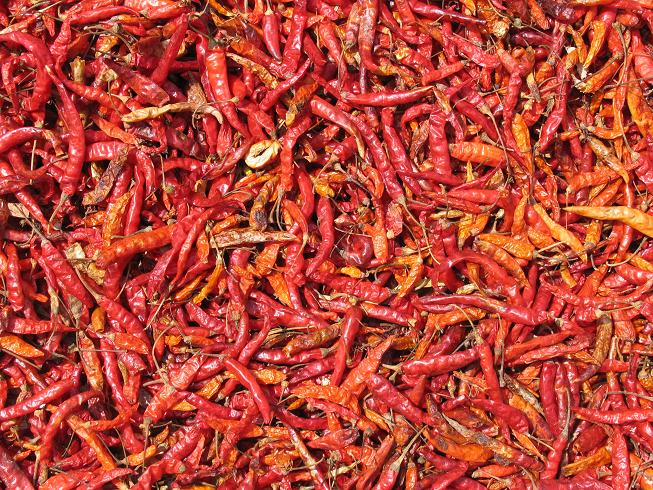 Pepper