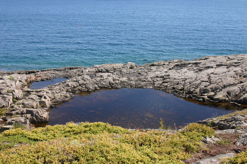 Tide Pool