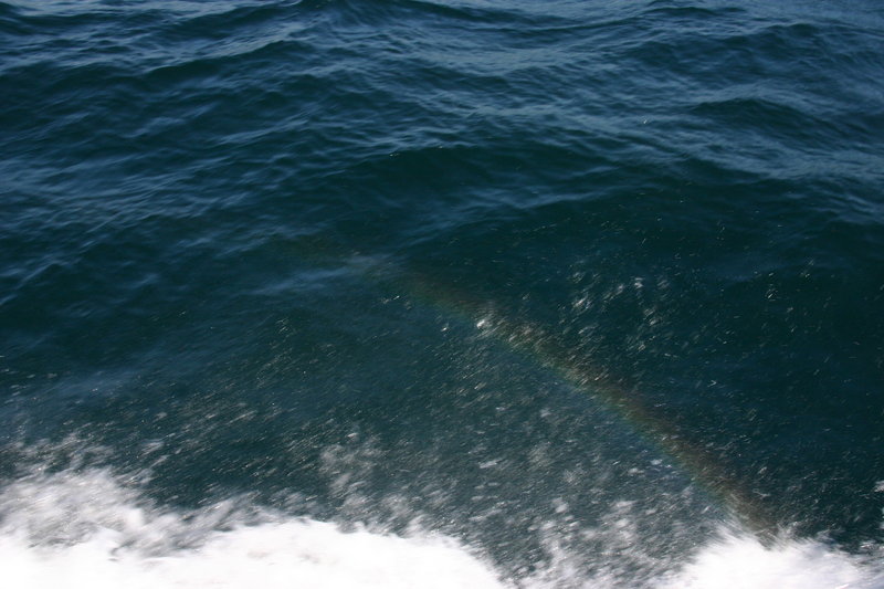 Rainbow Spray