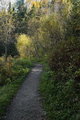 DSC_7190.jpg