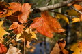 DSC_7197.jpg