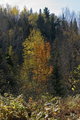 DSC_7231.jpg