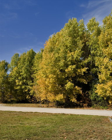 DSC_7172.jpg
