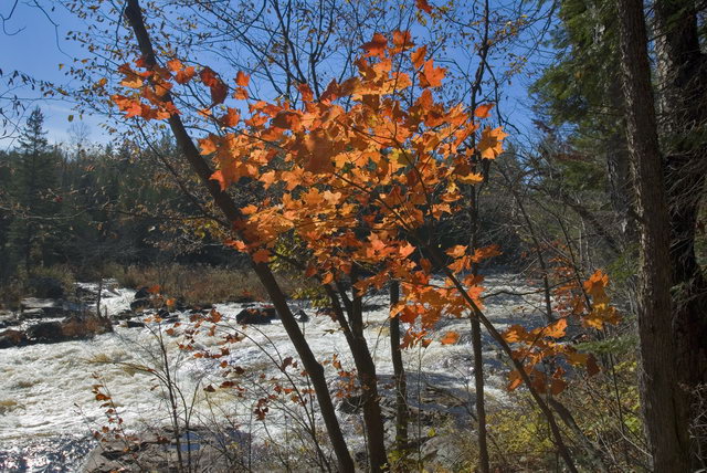 DSC_7101.jpg