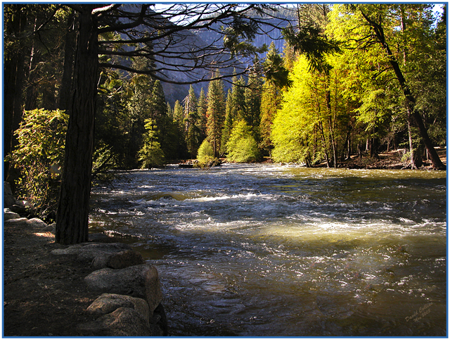 Merced River in Yosemite
