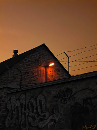 Freedom Sunset