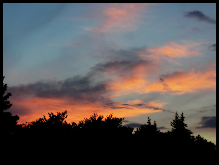 Sky of Fury